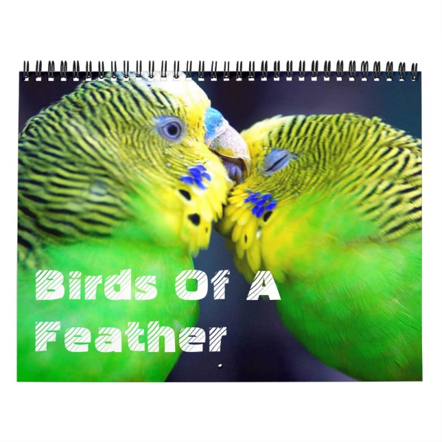 Vögel eines Feather-Kalenders Kalender (Titelbild)