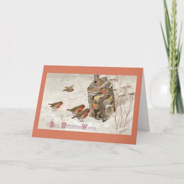 Vögel finden Schutz in Lantern Weihnachten (Vorderseite)