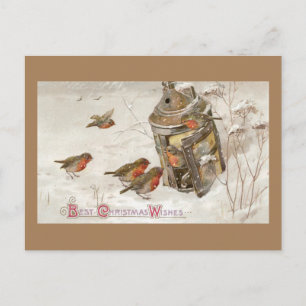 Vögel finden Schutz in Laterne Vintage-Weihnachten Feiertagspostkarte