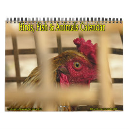 Vögel, Fische und andere exotische Tiere Kalender