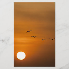 Vögel fliegen bei Sonnenuntergang Briefpapier