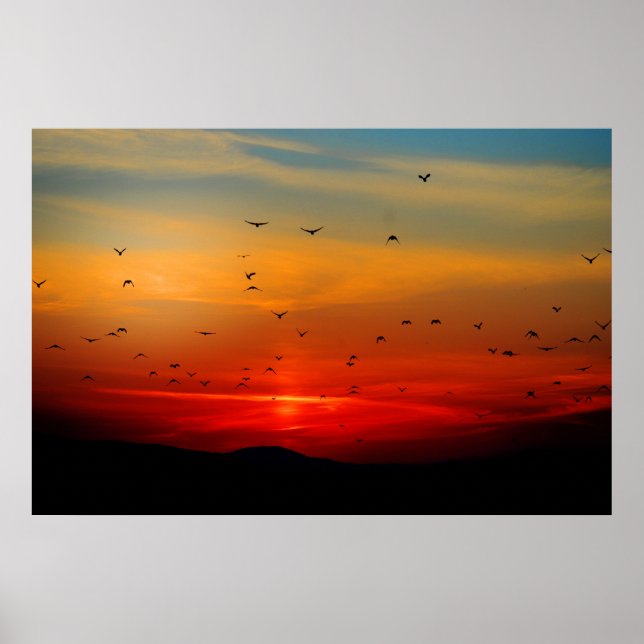 Vögel fliegen bei Sonnenuntergang, malerisches Fot Poster (Vorne)