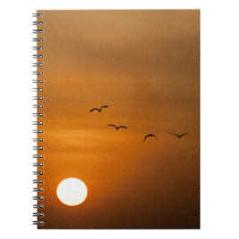 Vögel fliegen bei Sonnenuntergang Notizblock