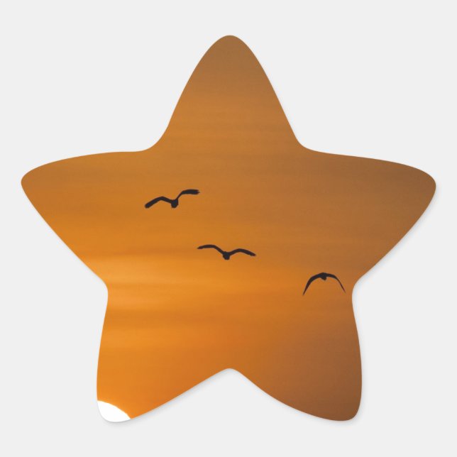 Vögel fliegen bei Sonnenuntergang Stern-Aufkleber (Vorderseite)