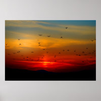 Vögel fliegen in Sonnenuntergang extra großes Post