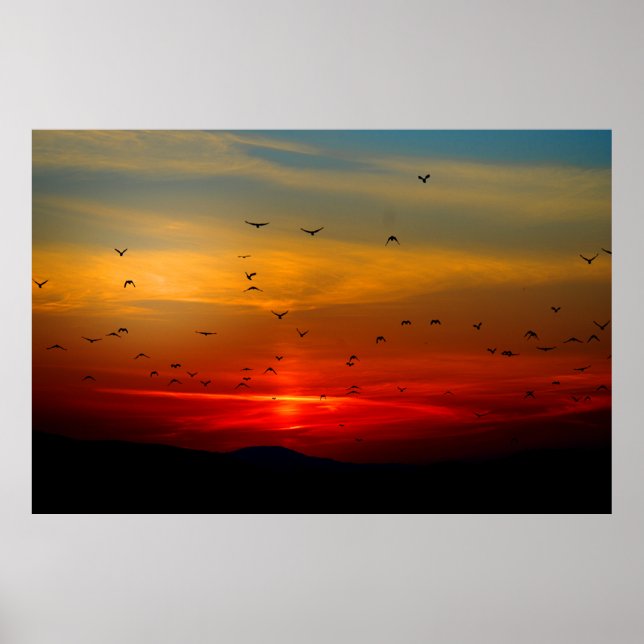 Vögel fliegen in Sonnenuntergang extra großes Post Poster (Vorne)