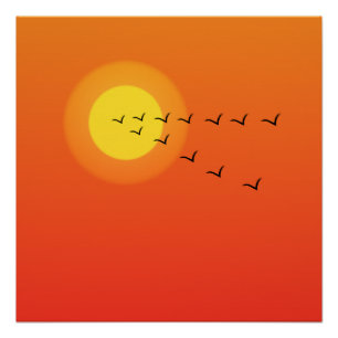 Vögel fliegen zur Sonne Poster