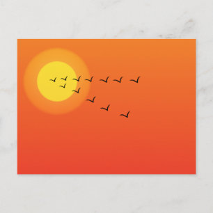 Vögel fliegen zur Sonne Postkarte