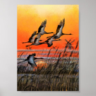 Vögel fliegender Sonnenuntergang Poster Druck - Ma