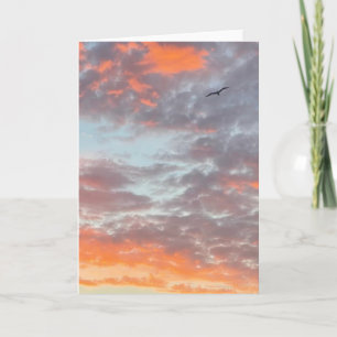 Vogel fliegt rosa Wolken Himmel Foto Karte