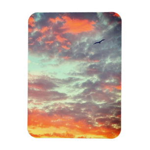 Vogel fliegt rosa Wolken Himmel Foto Magnet