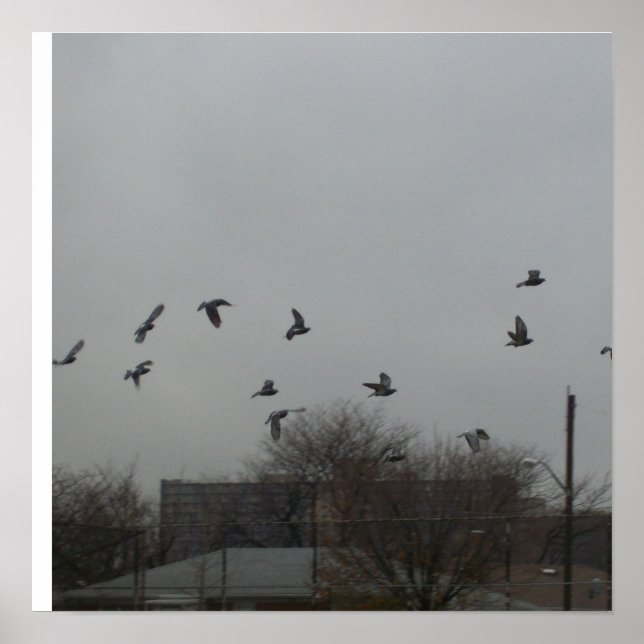 Vogel Flying Poster (Vorne)