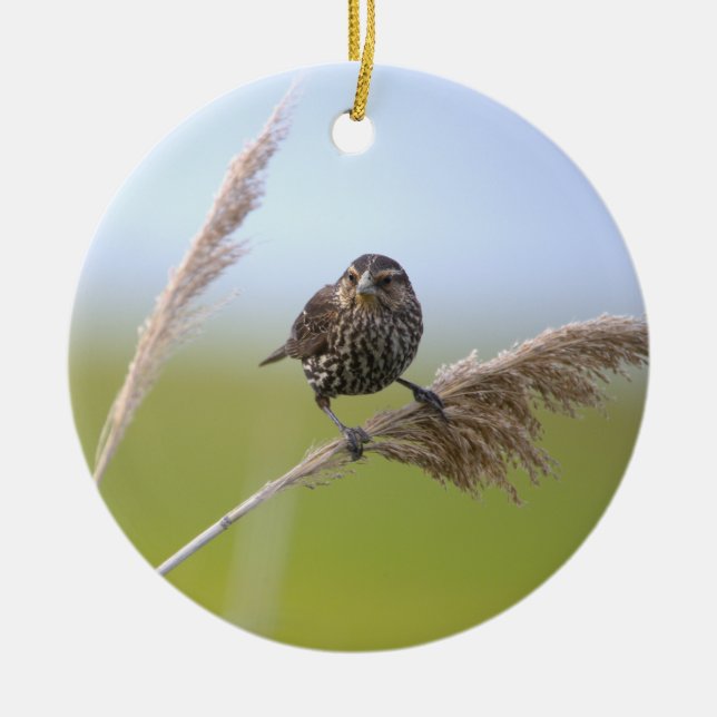 Vogel-Foto-Ornament  Keramik Ornament (Vorne)