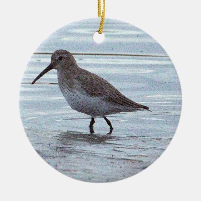Vogel-Foto-Ornament Keramik Ornament (Vorne)