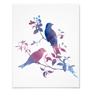 Vögel Fotodruck