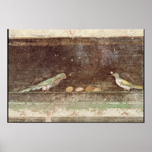 Vögel fressen Nüsse Poster