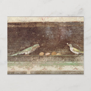 Vögel fressen Nüsse Postkarte