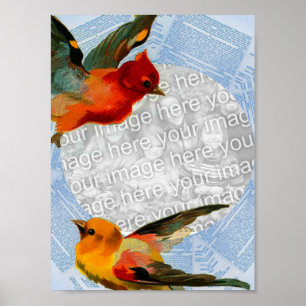 Vögel gestalten Ihr eigenes Foto Poster