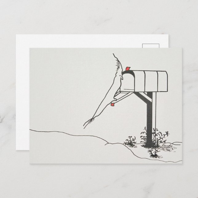 Vogel Gewartet für E-Mail an der Mailbox Postkarte (Vorne/Hinten)