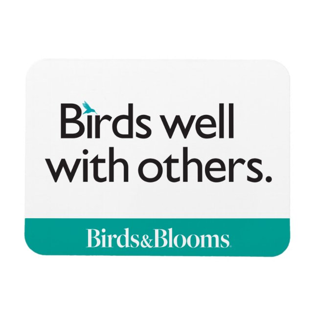 Vögel gut mit anderen magnet (Horizontal)