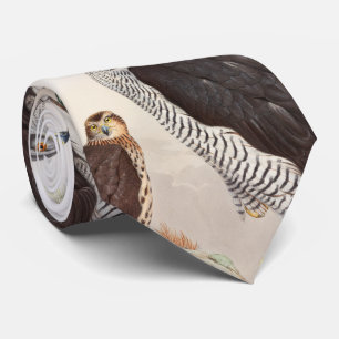 Vögel Hühnerhabicht-Johns Gould von Krawatte