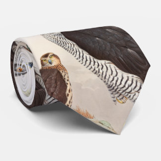 Vögel Hühnerhabicht-Johns Gould von Krawatte