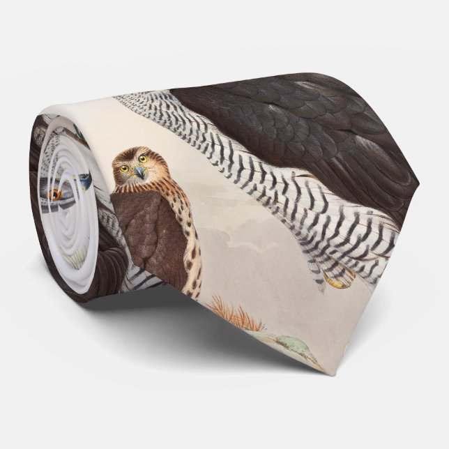 Vögel Hühnerhabicht-Johns Gould von Krawatte (Gerollt)