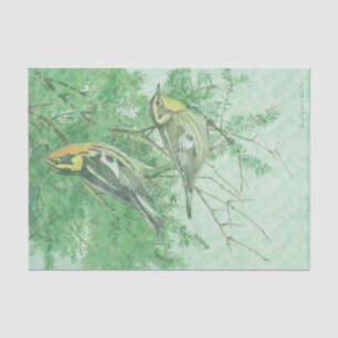 Vögel im Baum-Ast-Seidenpapier Seidenpapier