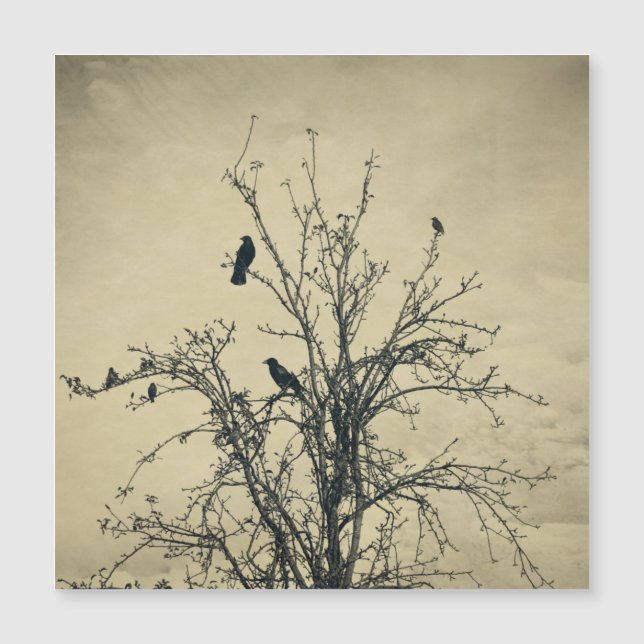 Vögel im Baum - Magnetkarte (Vorderseite)