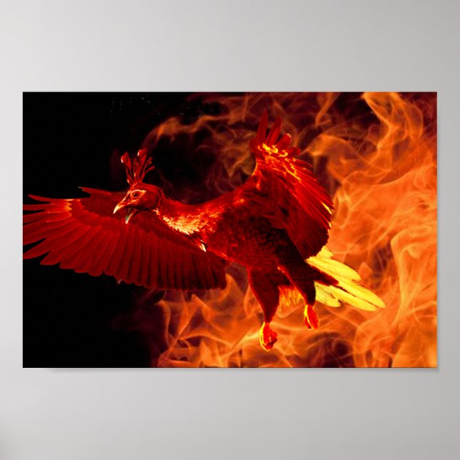 Vogel im Feuer Poster (Vorne)
