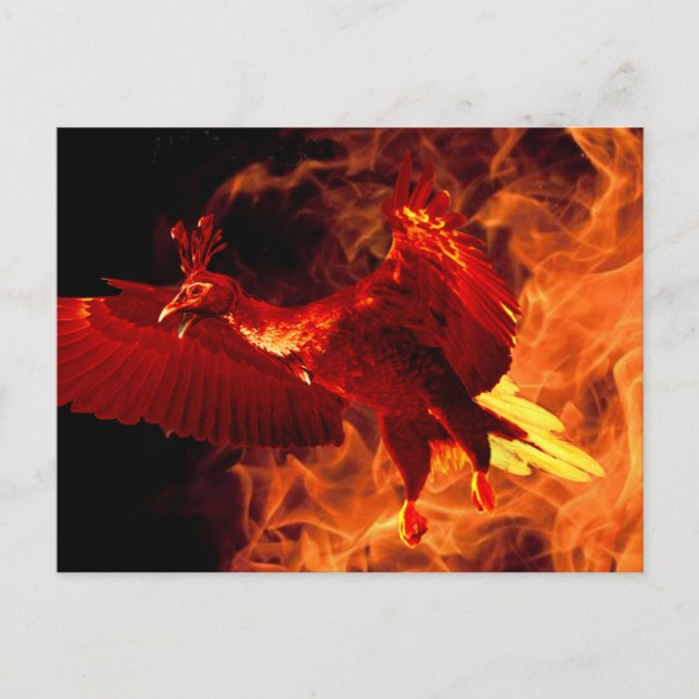 Vogel im Feuer Postkarte (Vorderseite)