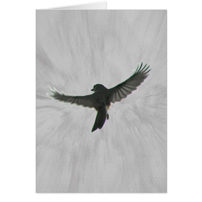 Vogel im Flug (Vorne)