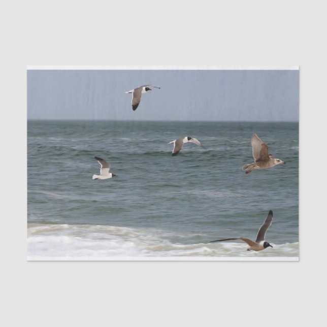 Vögel im Flug von Shirley Taylor Seidenpapier (Vorderseite)