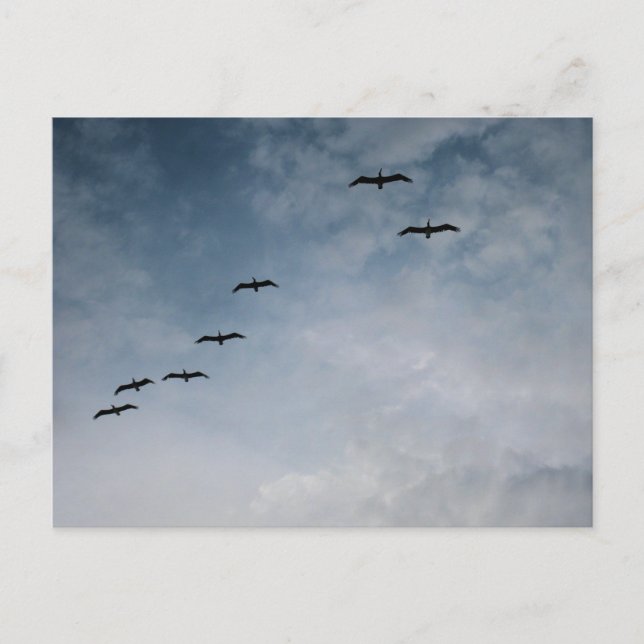 Vögel im Flugformations-Strandfotografie Postkarte (Vorderseite)