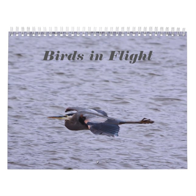 Vögel im Flugkalender Kalender (Titelbild)