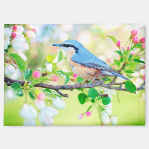 Vogel im Frühling Magnet