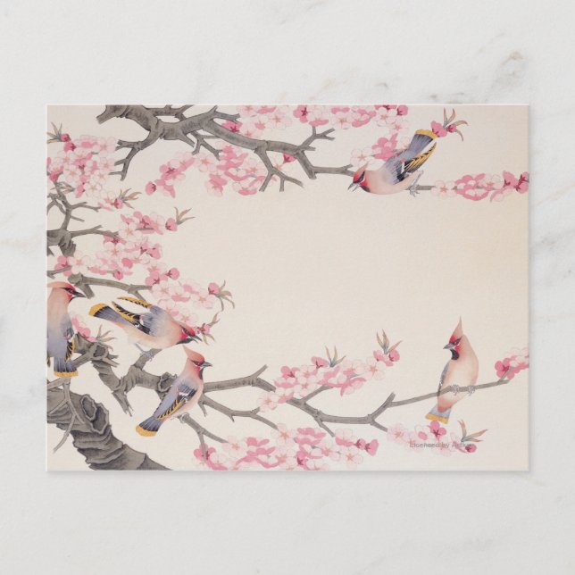 Vögel im Frühling singen Postkarte (Vorderseite)