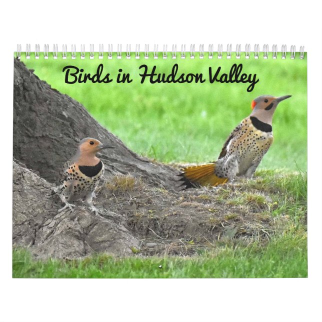 Vögel im Hudson-Tal Kalender (Titelbild)