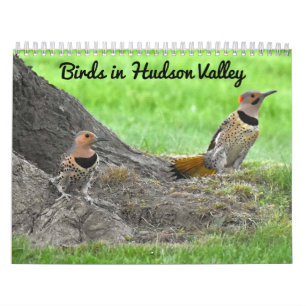 Vögel im Hudson-Tal Kalender