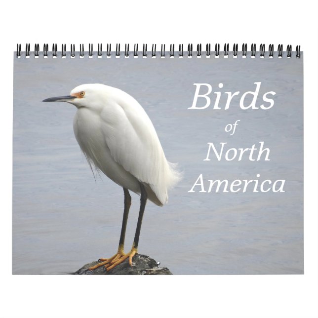 Vögel im Nordamerika-Kalender Kalender (Titelbild)