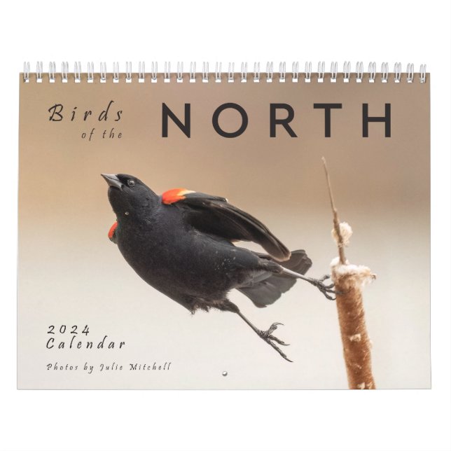 Vögel im Norden: Große Seen Kalender (Titelbild)