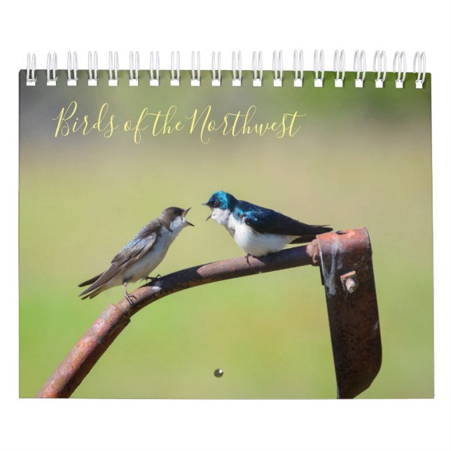 Vögel im Nordwesten Kalender (Titelbild)