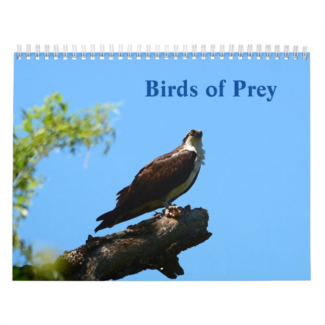 Vögel im Prey-Kalender Kalender (Titelbild)