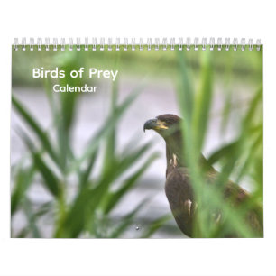 Vögel im Prey-Kalender Kalender