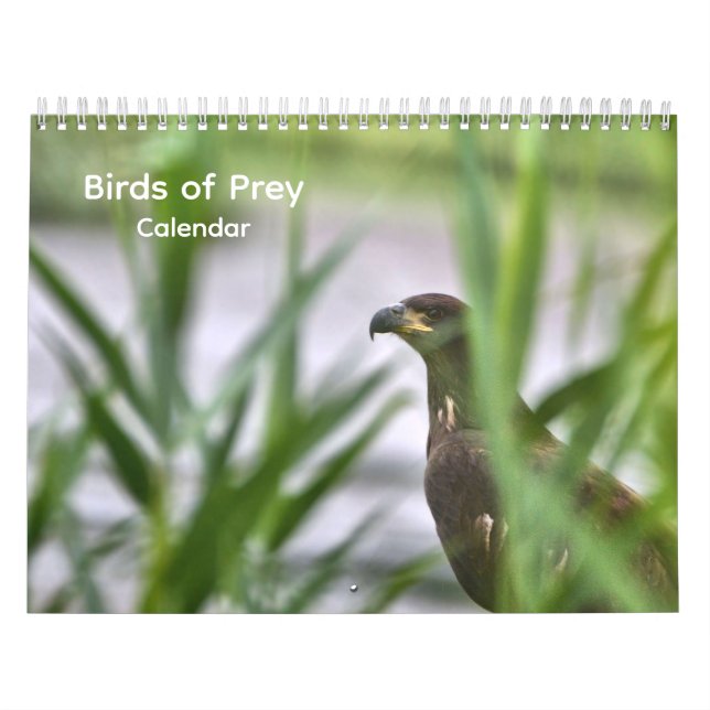 Vögel im Prey-Kalender Kalender (Titelbild)