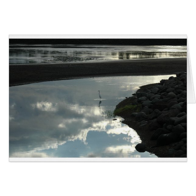 Vogel im Wasser (Vorderseite (Horizontal))