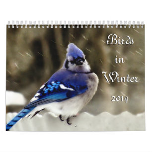Vögel im Winter Kalender