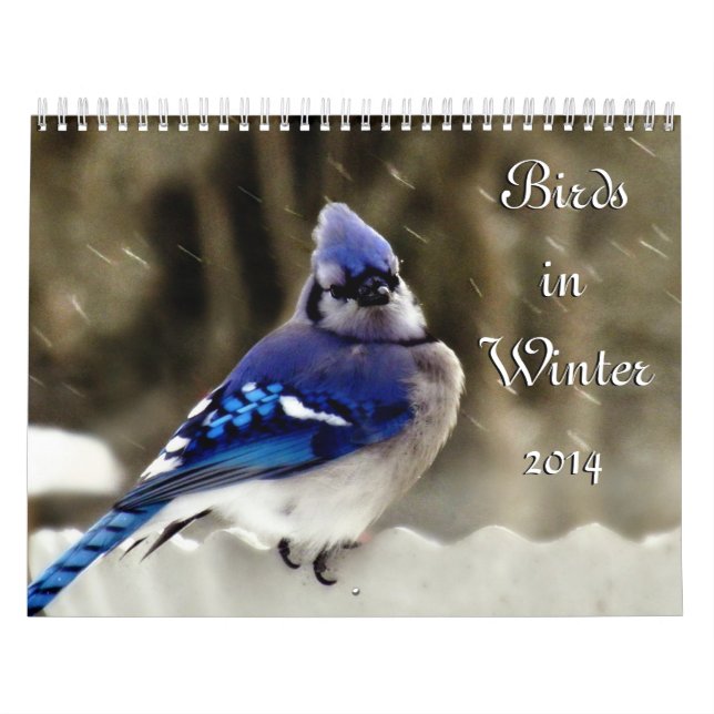 Vögel im Winter Kalender (Titelbild)
