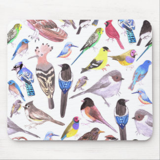 Vögel in Amerika - Heimtiere und wild lebende Vöge Mousepad