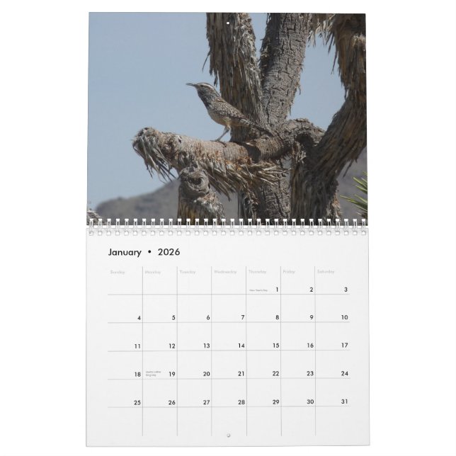Vögel in Arizona Kalender (Jan 2026)